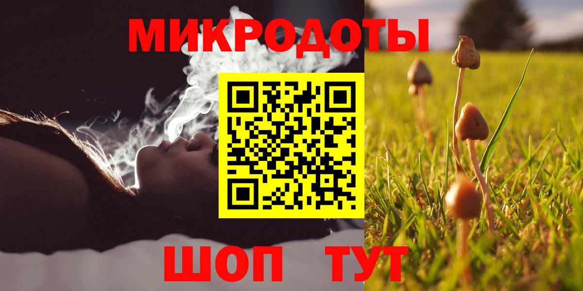 Волоколамск  Галлюциногенные грибы Psilocybe  Вход с VPN 